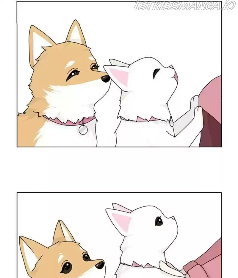 The Dog Diaries Chapter 35