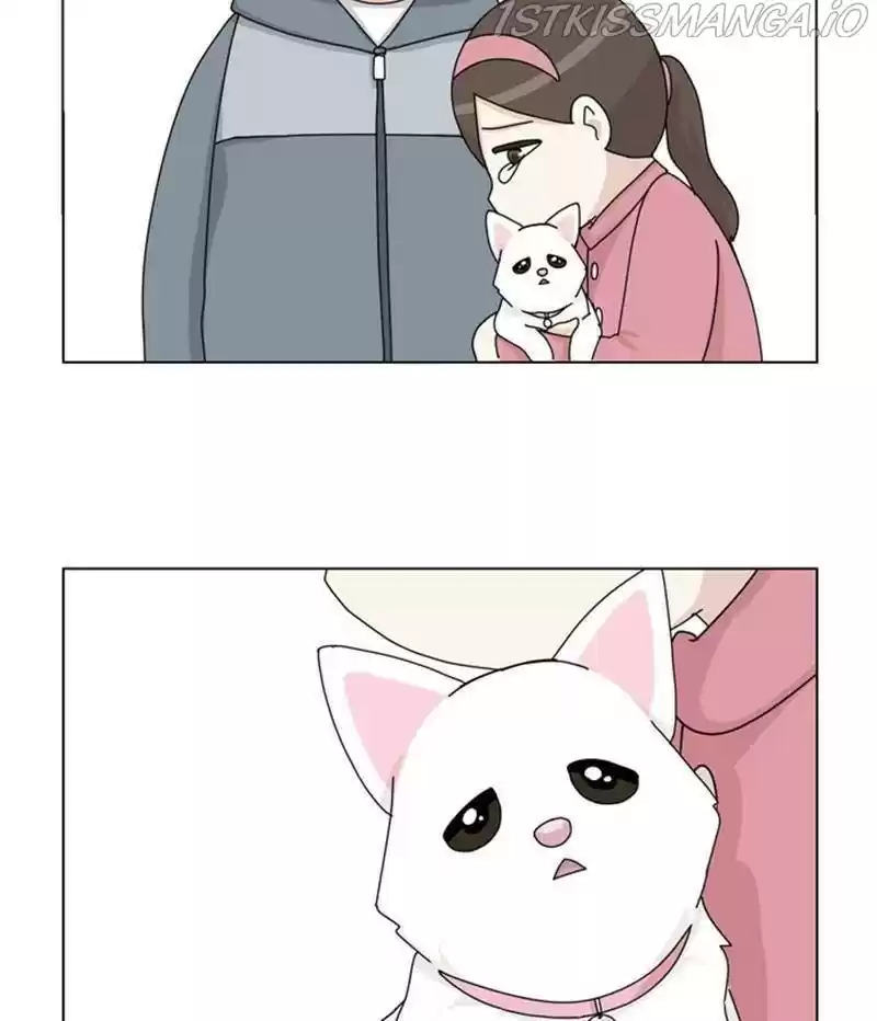 The Dog Diaries Chapter 35