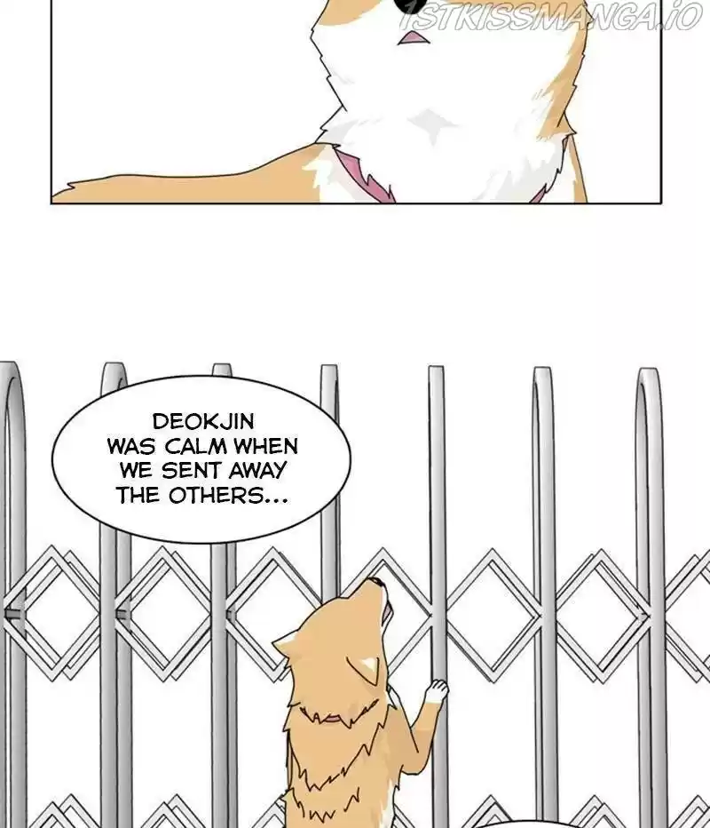 The Dog Diaries Chapter 35