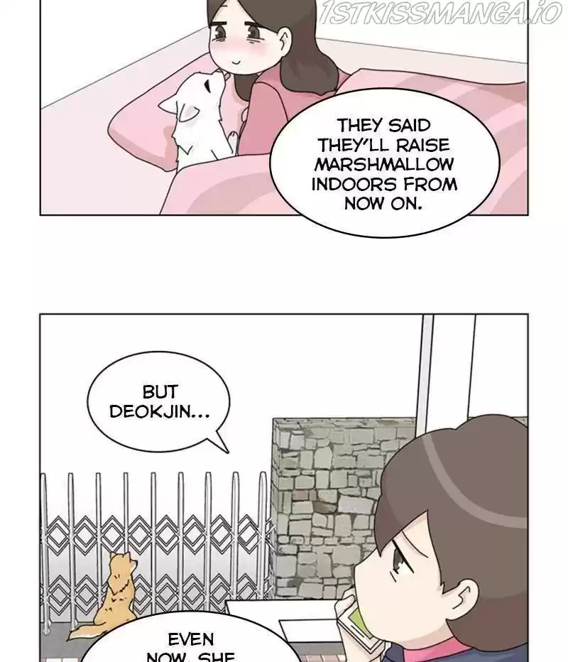 The Dog Diaries Chapter 35