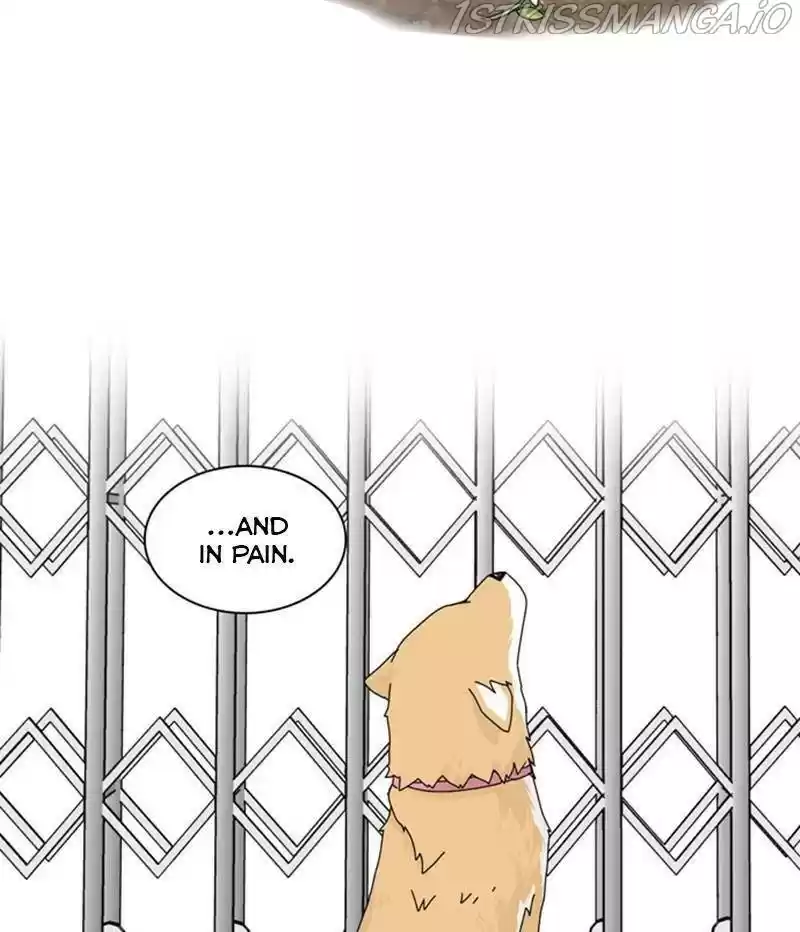 The Dog Diaries Chapter 35