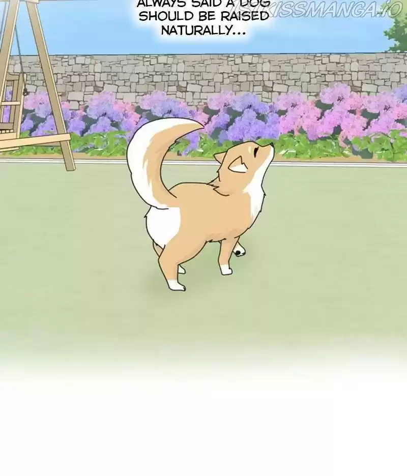 The Dog Diaries Chapter 35
