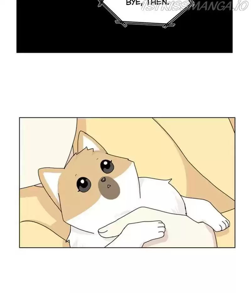 The Dog Diaries Chapter 35