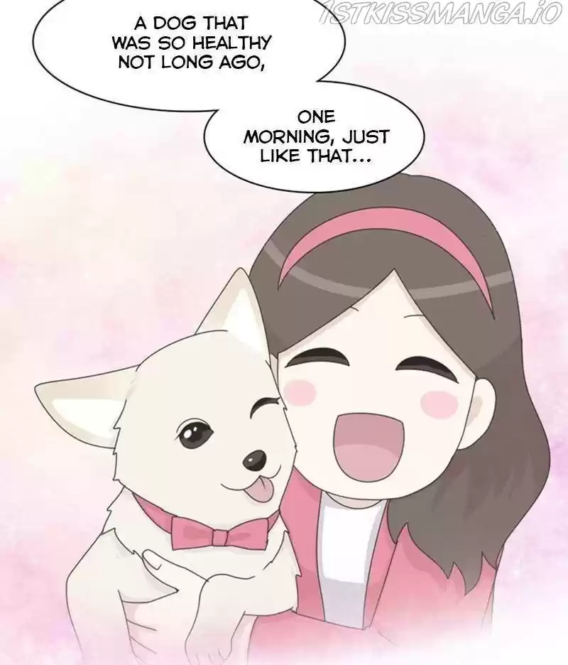 The Dog Diaries Chapter 35
