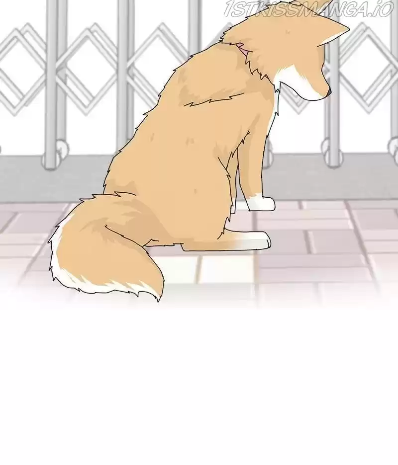 The Dog Diaries Chapter 35