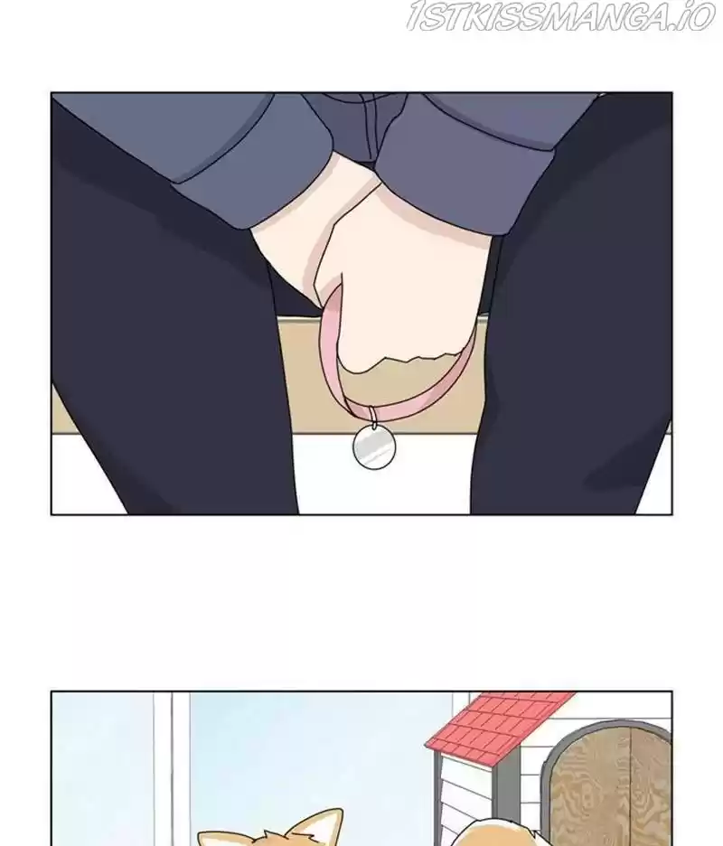 The Dog Diaries Chapter 35