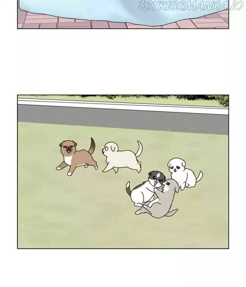 The Dog Diaries Chapter 35