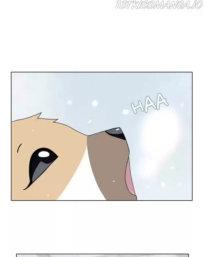 The Dog Diaries Chapter 36