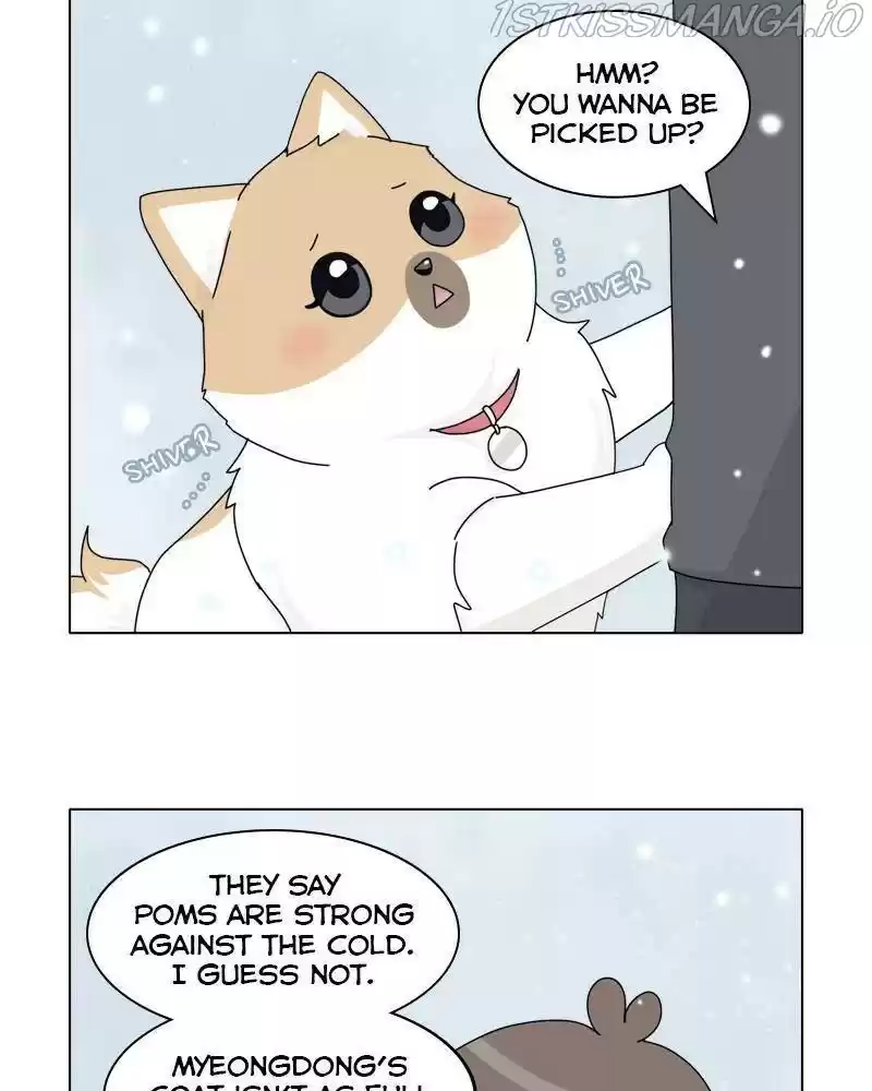 The Dog Diaries Chapter 36