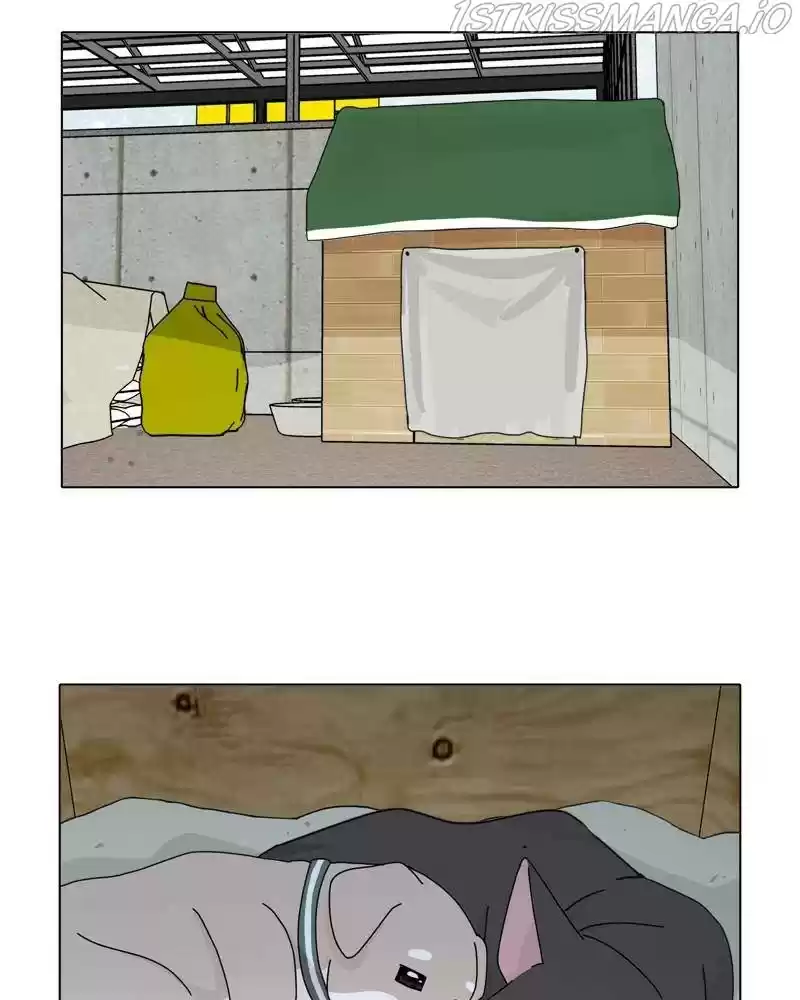 The Dog Diaries Chapter 36