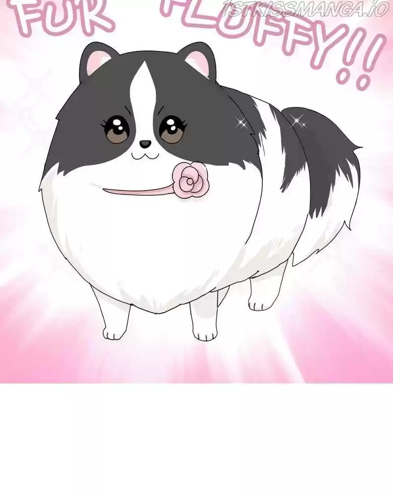 The Dog Diaries Chapter 36