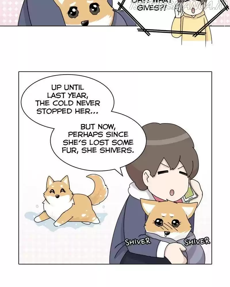 The Dog Diaries Chapter 36