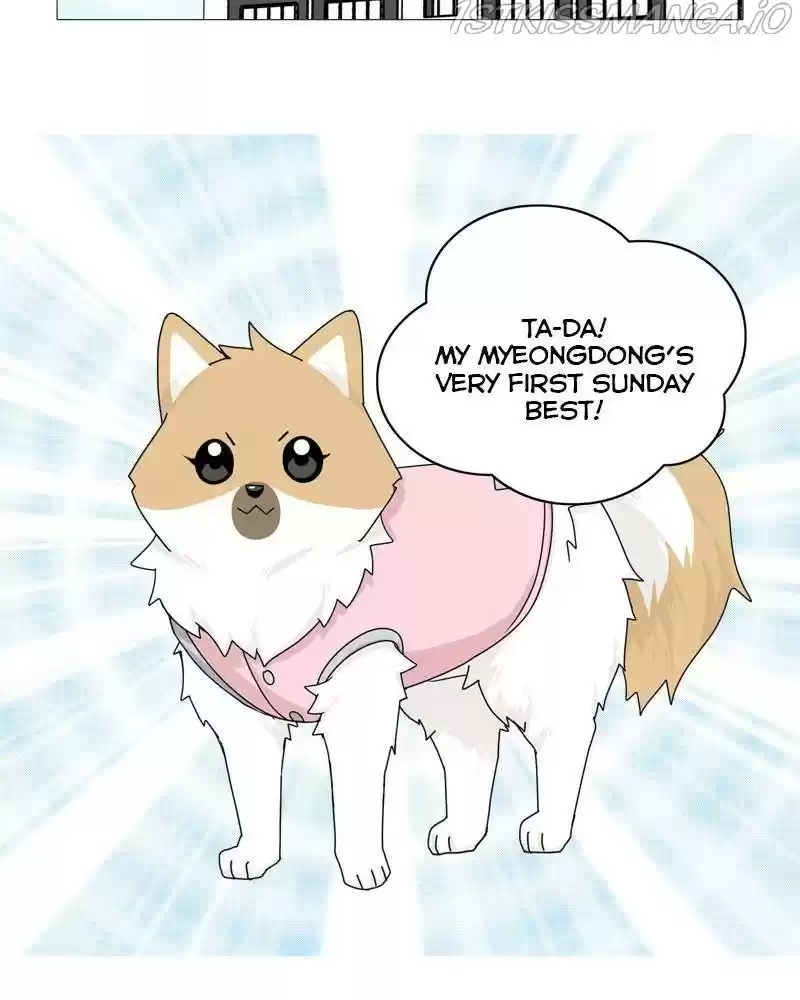 The Dog Diaries Chapter 36