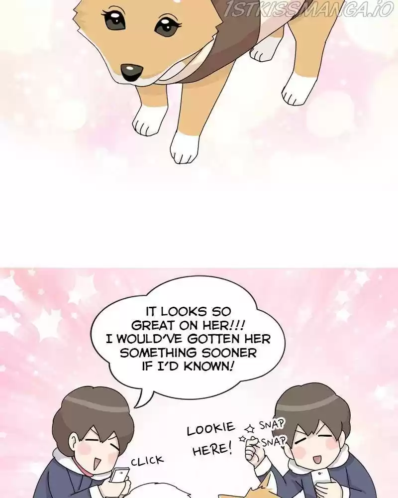 The Dog Diaries Chapter 36