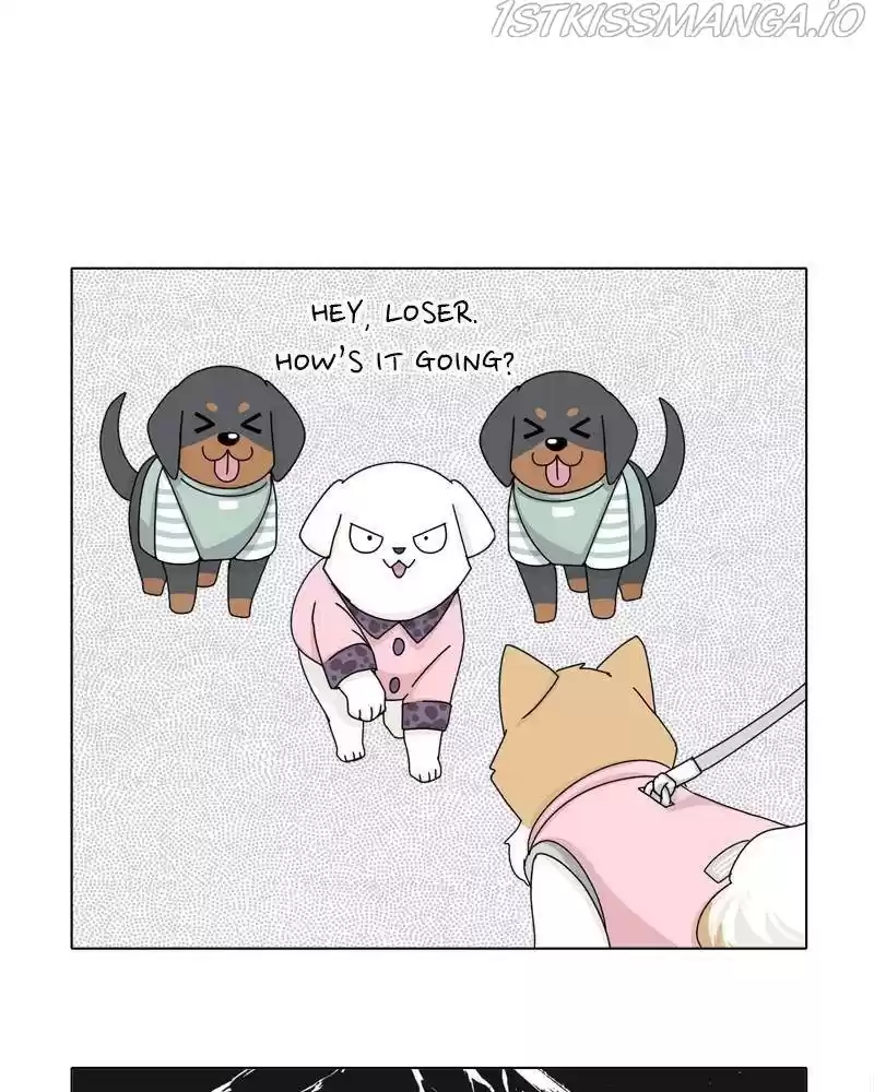 The Dog Diaries Chapter 36