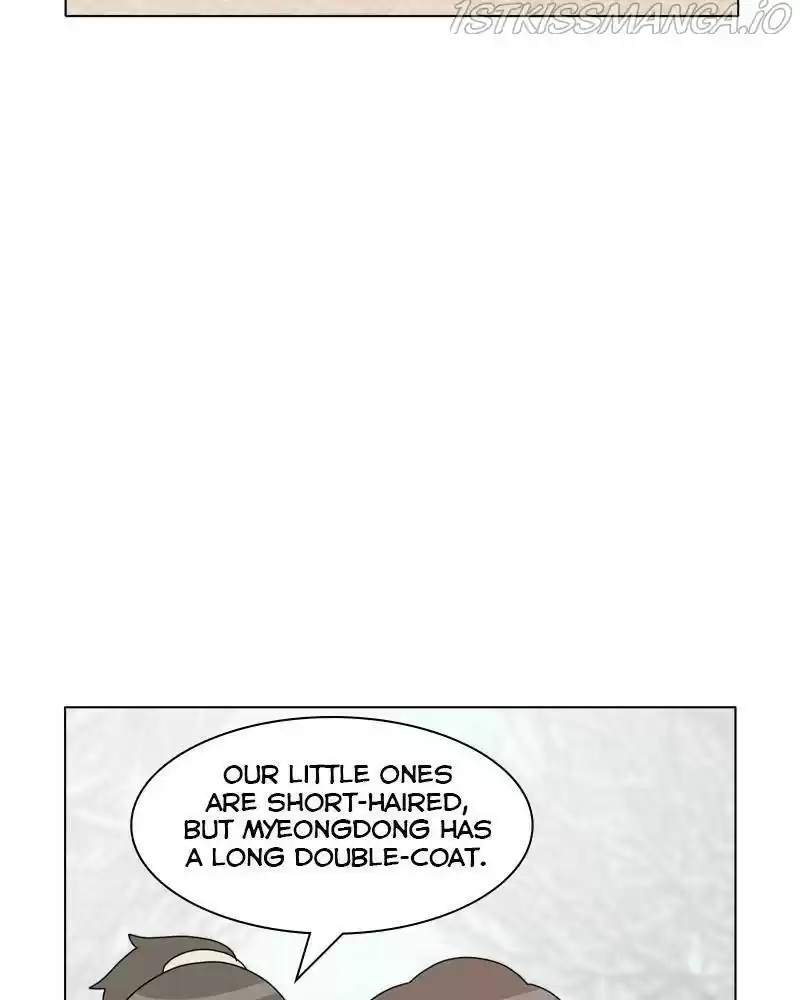 The Dog Diaries Chapter 36