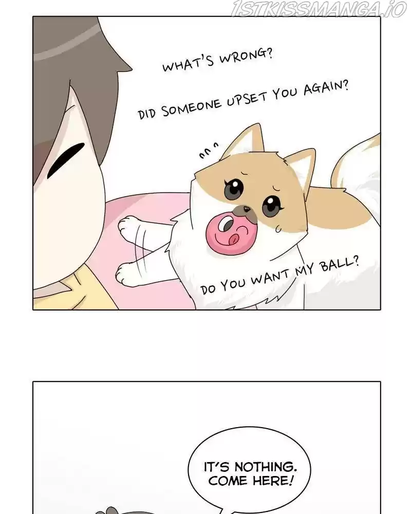 The Dog Diaries Chapter 36