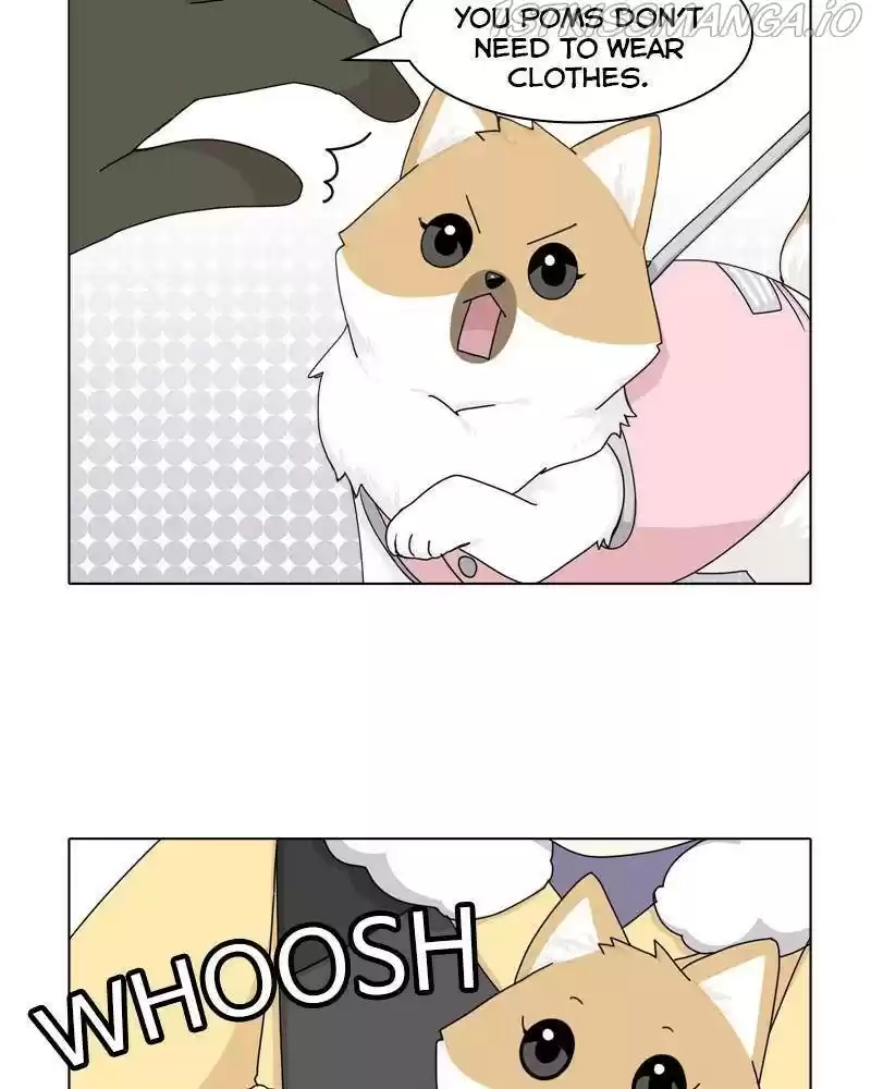 The Dog Diaries Chapter 36