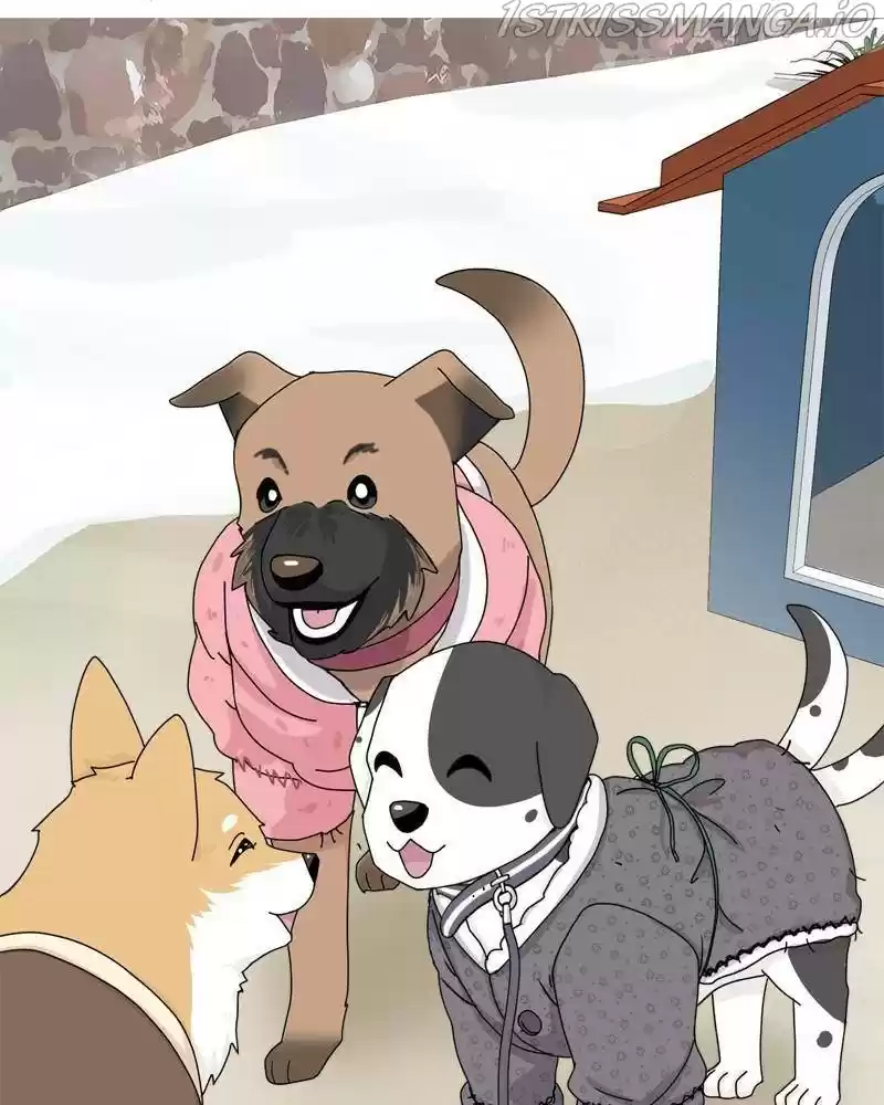 The Dog Diaries Chapter 36