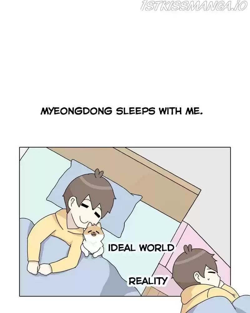 The Dog Diaries Chapter 37