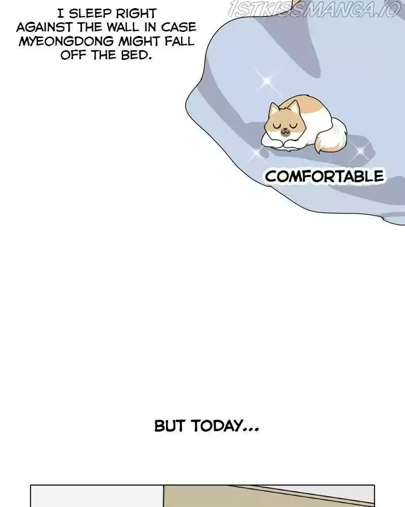 The Dog Diaries Chapter 37