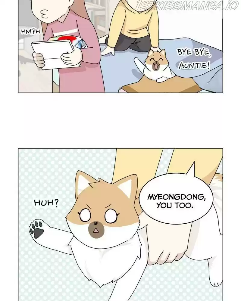 The Dog Diaries Chapter 37