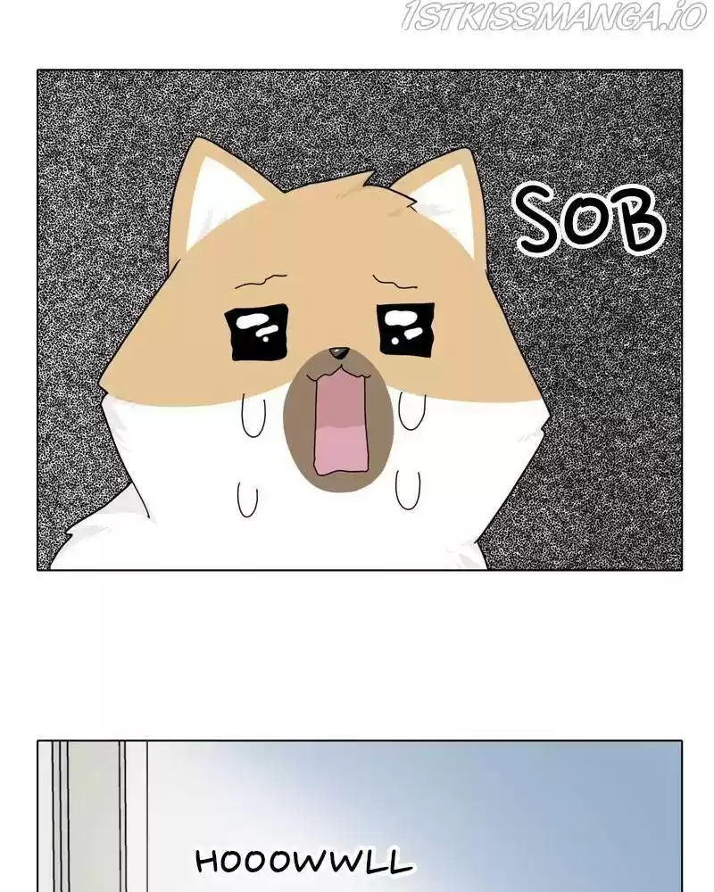 The Dog Diaries Chapter 37