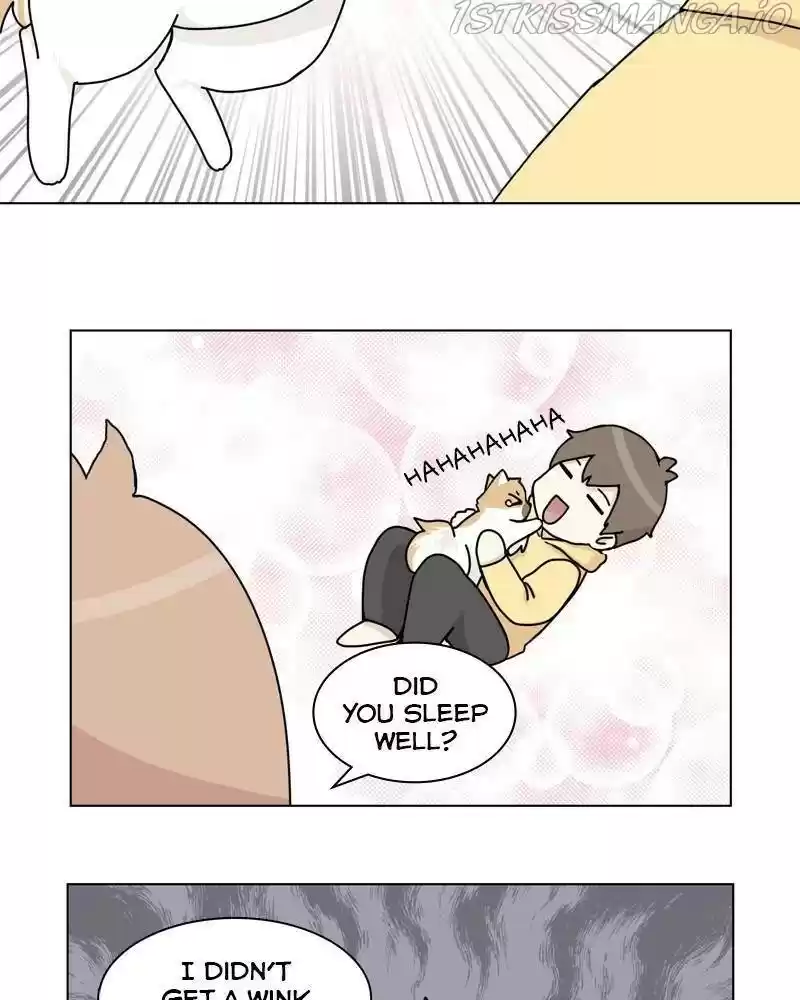 The Dog Diaries Chapter 37