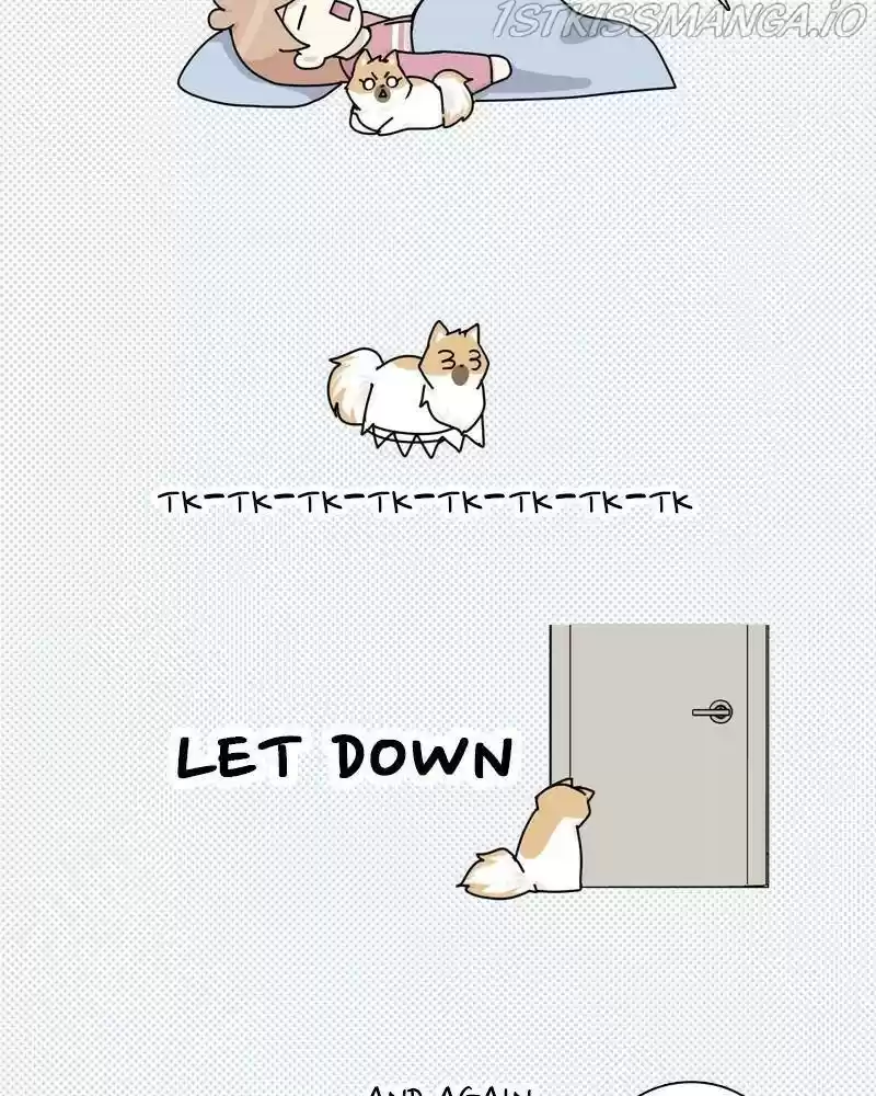 The Dog Diaries Chapter 37