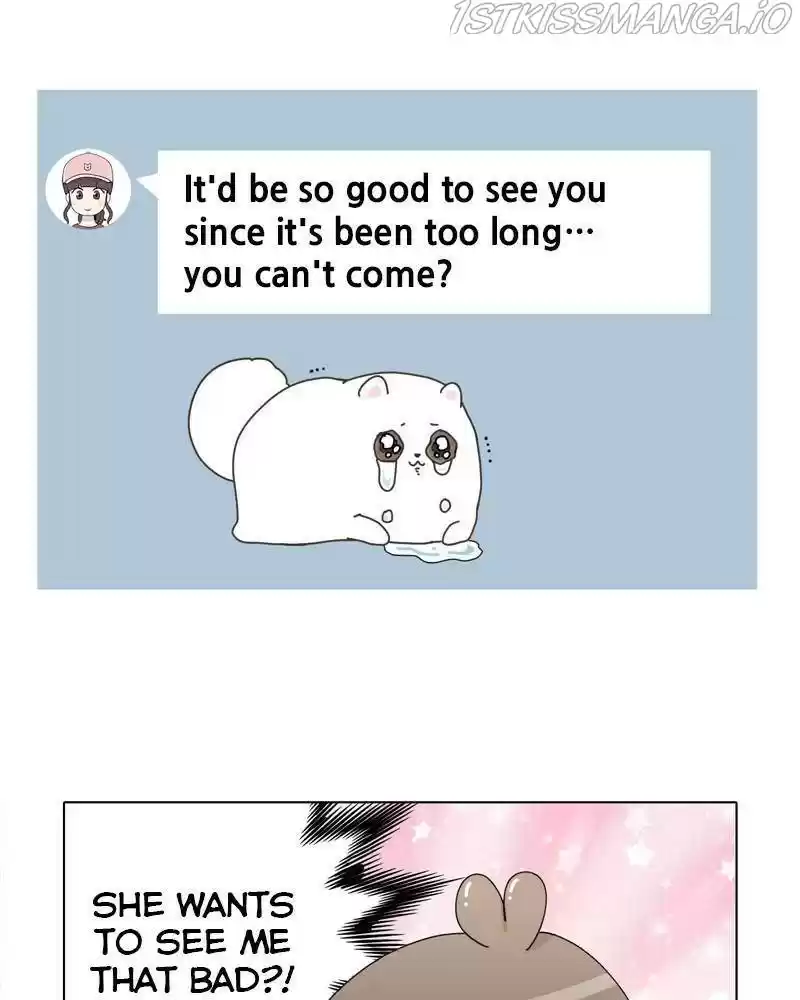 The Dog Diaries Chapter 37