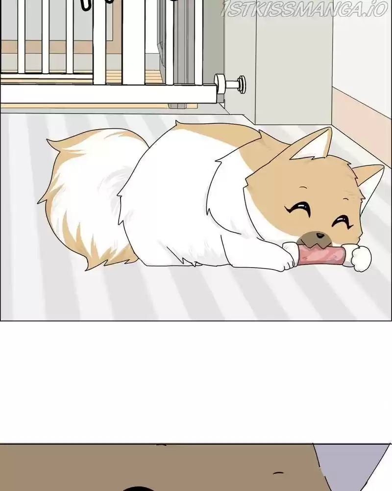 The Dog Diaries Chapter 37