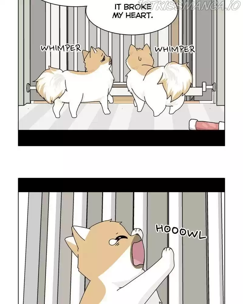 The Dog Diaries Chapter 37