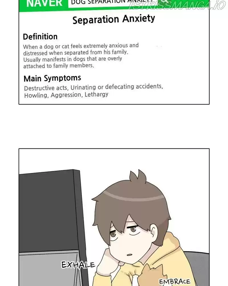 The Dog Diaries Chapter 37