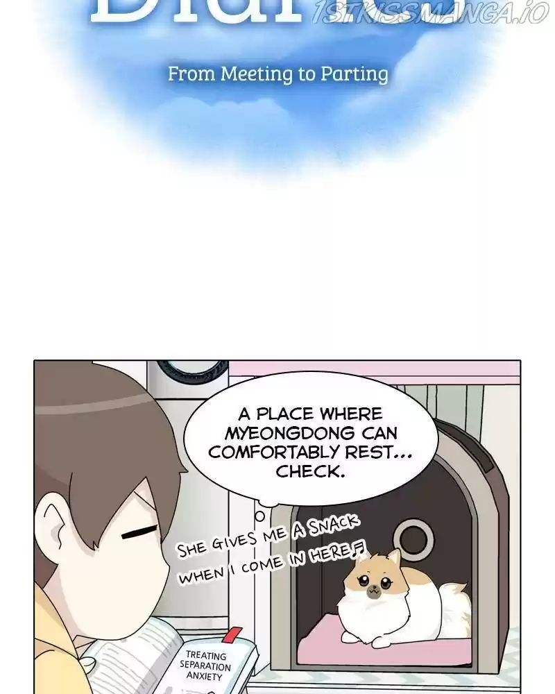 The Dog Diaries Chapter 38