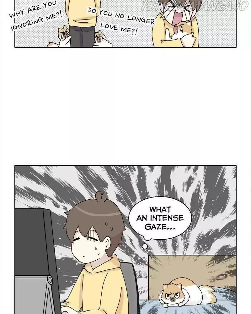 The Dog Diaries Chapter 38