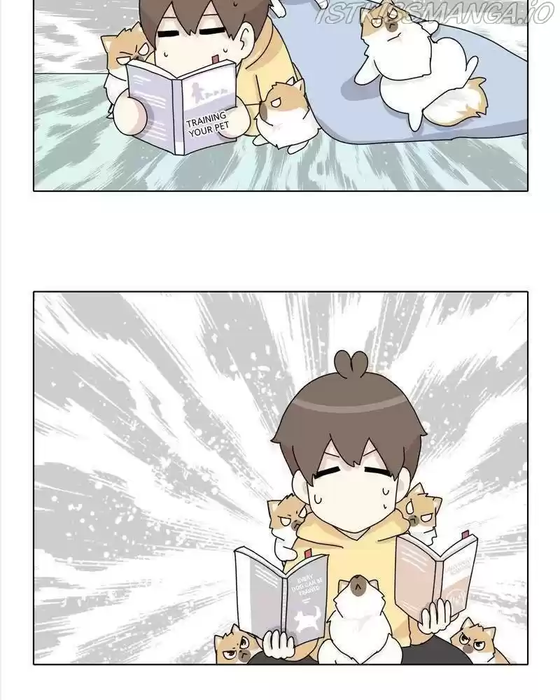 The Dog Diaries Chapter 38