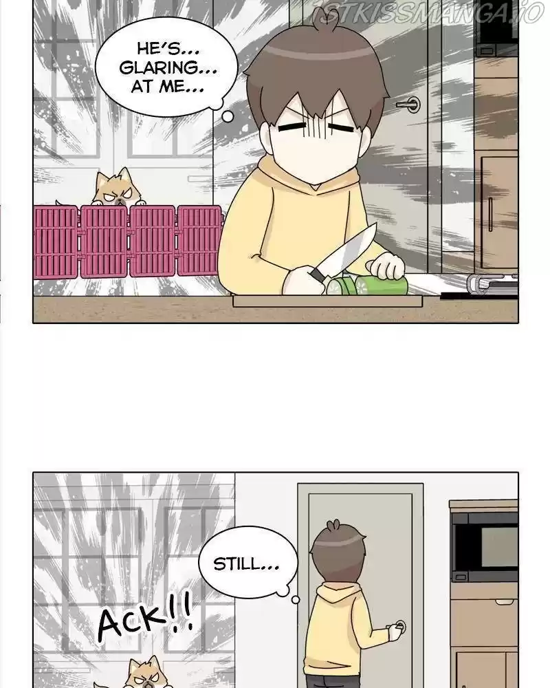 The Dog Diaries Chapter 38