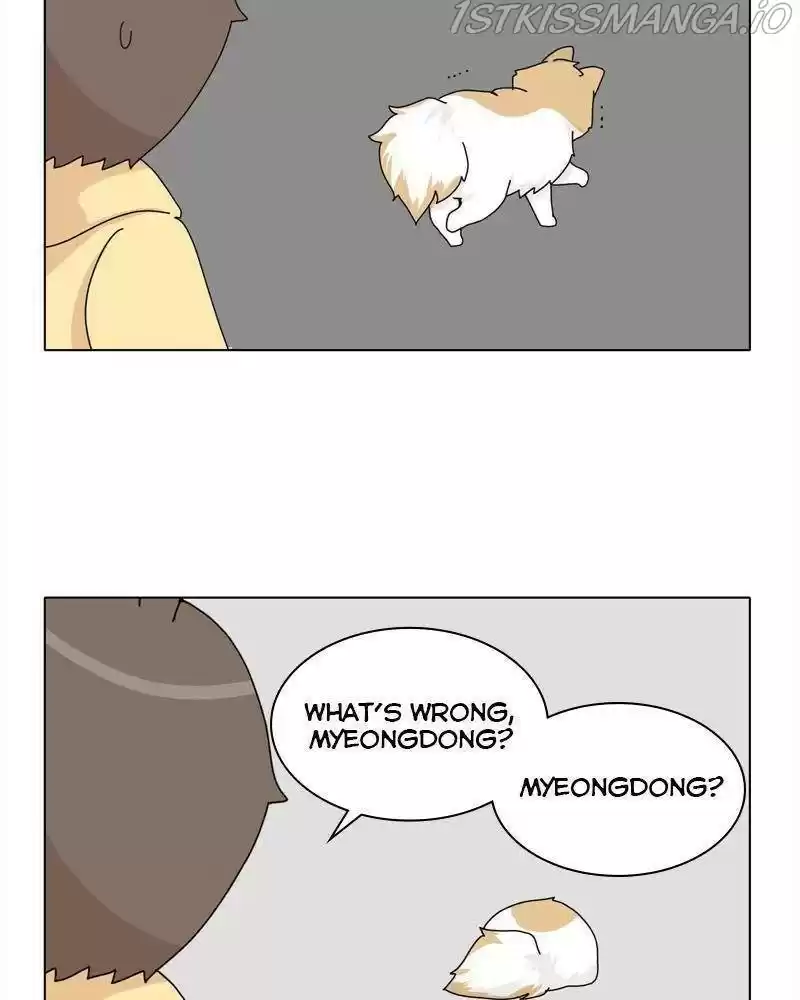 The Dog Diaries Chapter 38