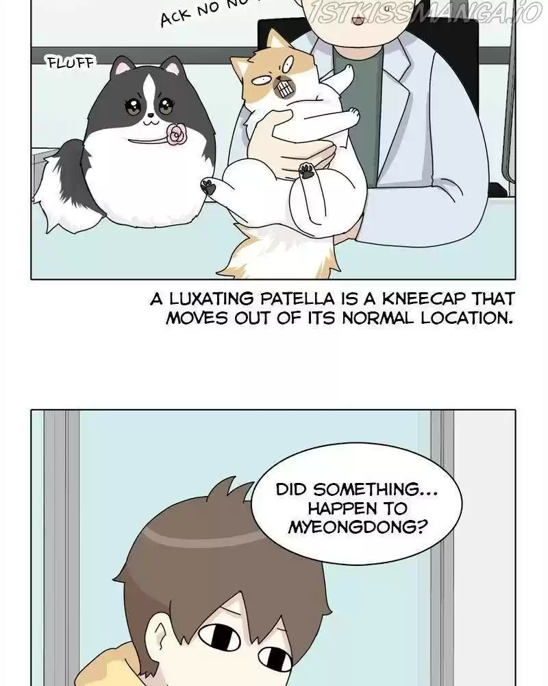 The Dog Diaries Chapter 38