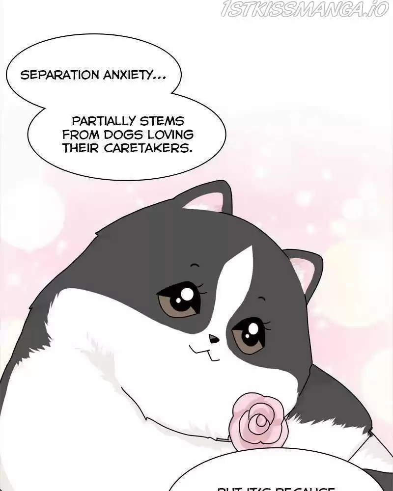 The Dog Diaries Chapter 38