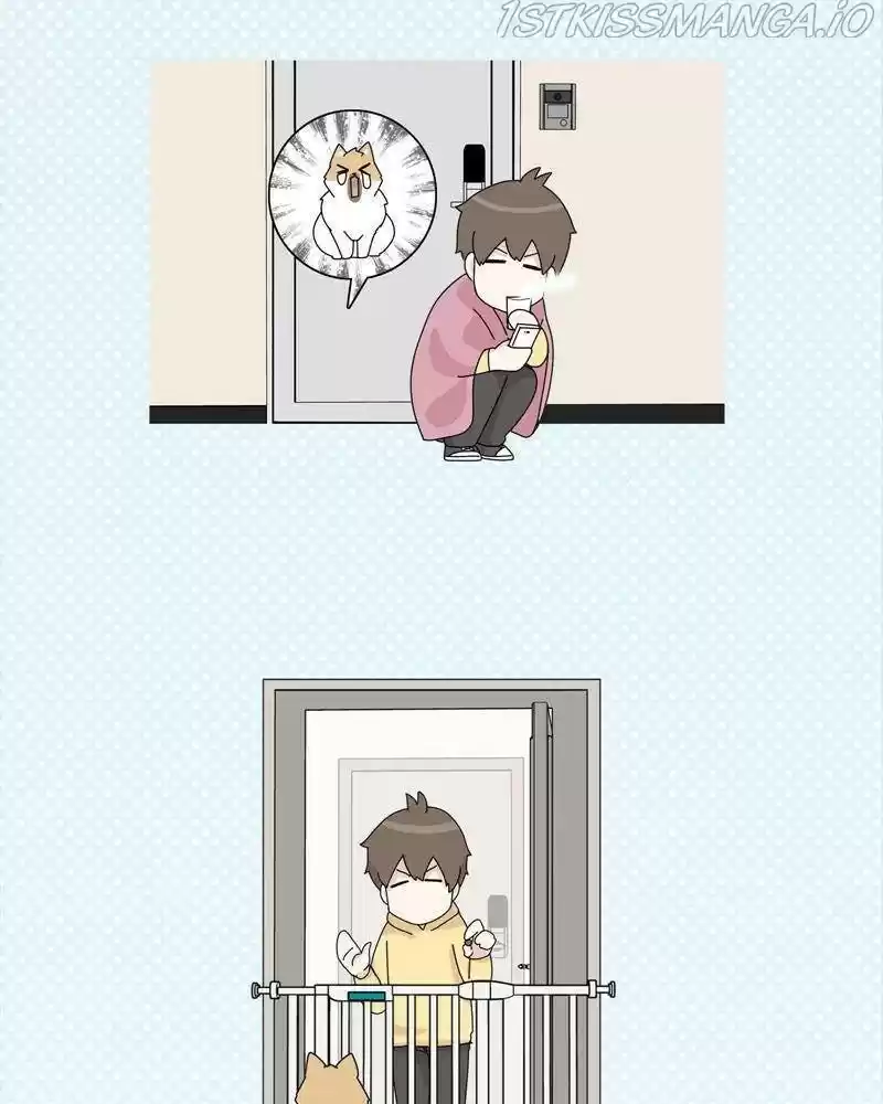 The Dog Diaries Chapter 38