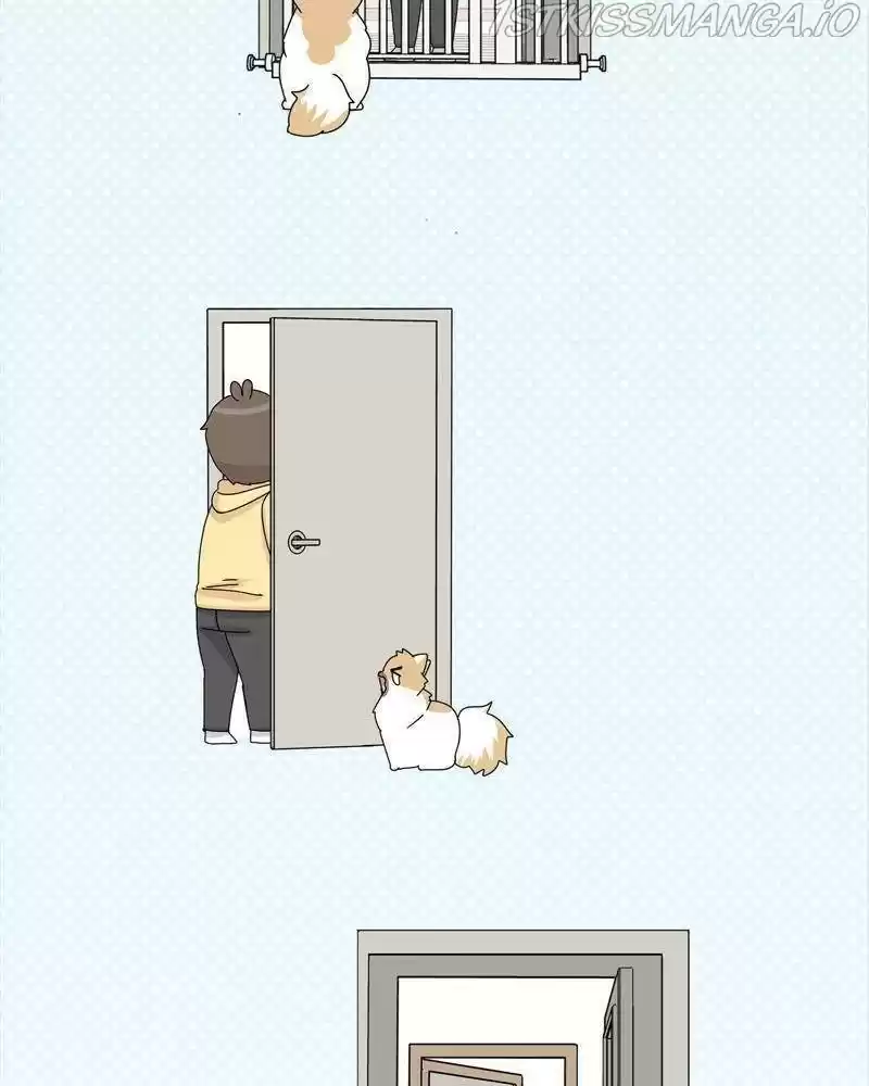 The Dog Diaries Chapter 38