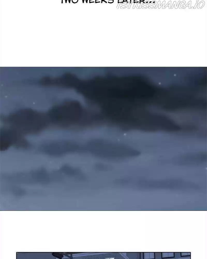 The Dog Diaries Chapter 38