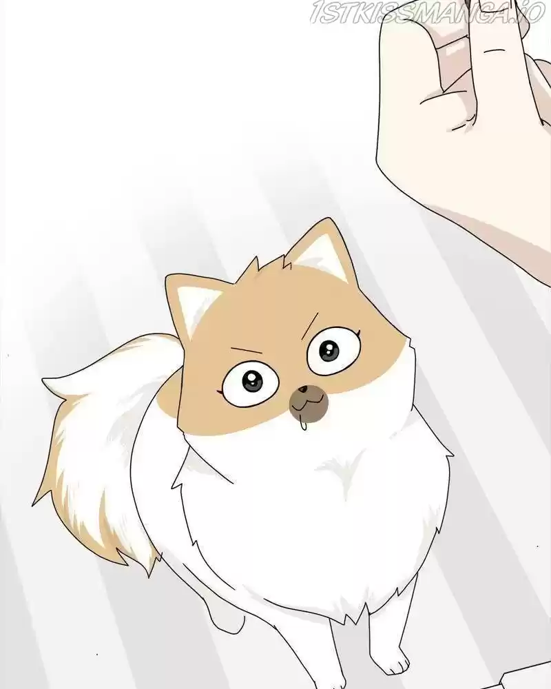 The Dog Diaries Chapter 38