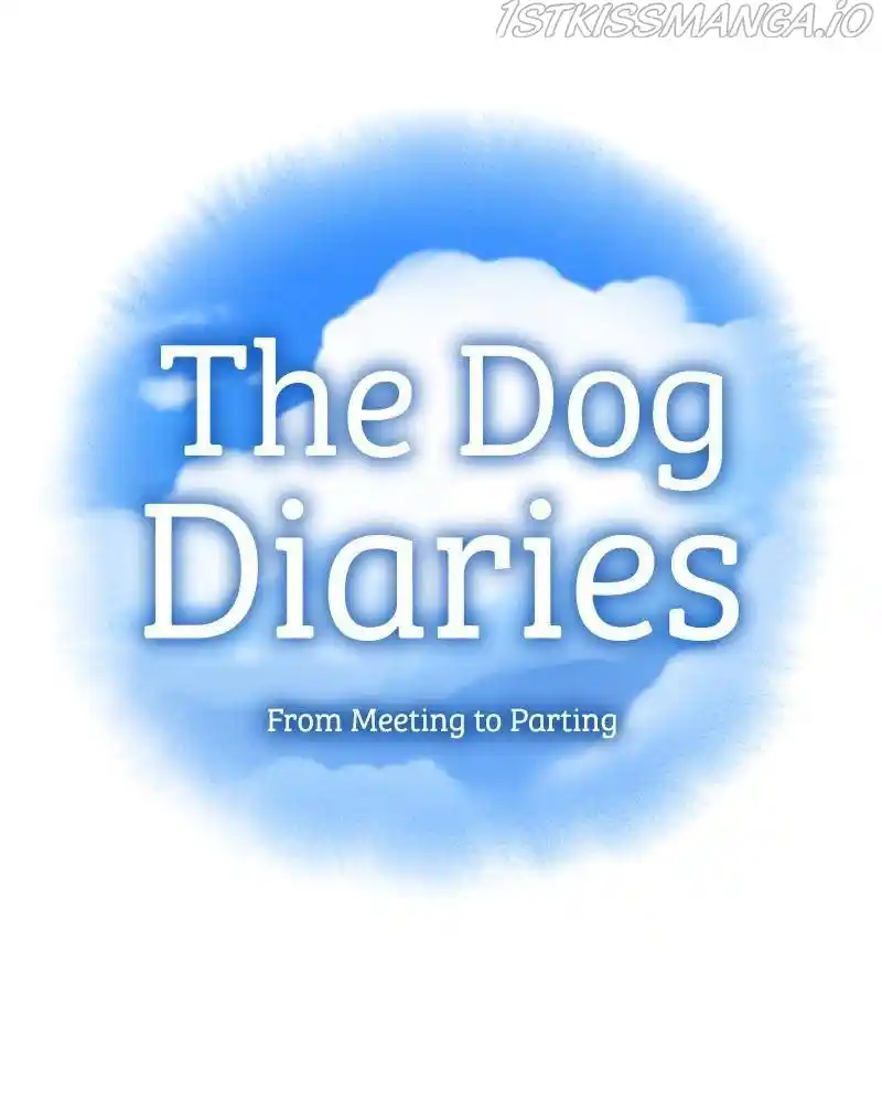 The Dog Diaries Chapter 39