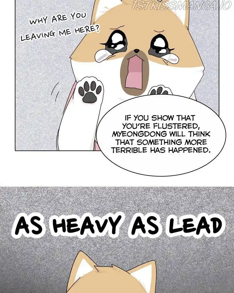 The Dog Diaries Chapter 39