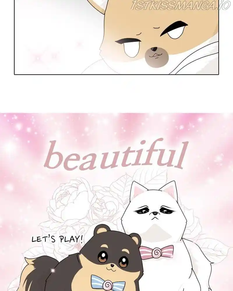 The Dog Diaries Chapter 39