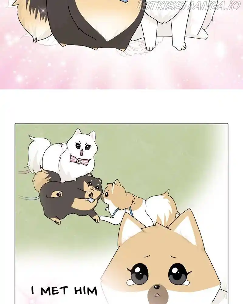 The Dog Diaries Chapter 39