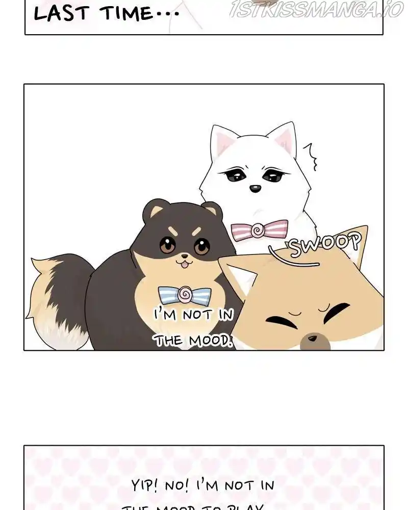 The Dog Diaries Chapter 39