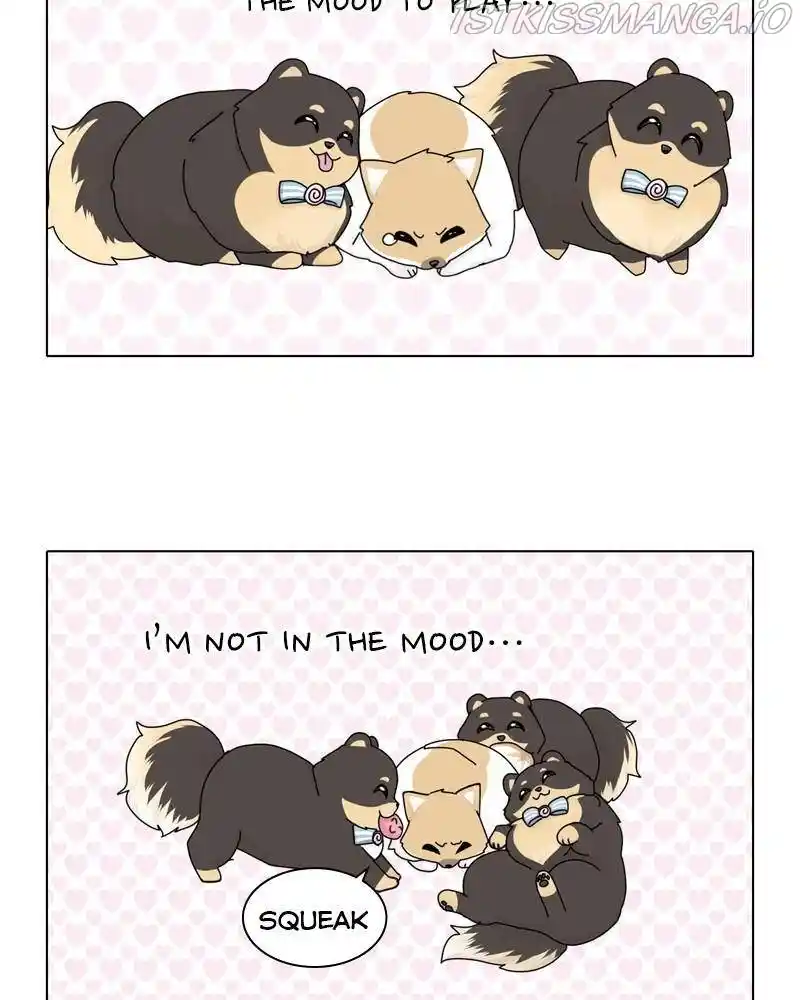 The Dog Diaries Chapter 39